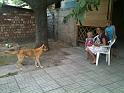 20110719_Bishkek 016